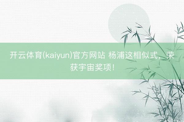 开云体育(kaiyun)官方网站 杨浦这相似式,荣获宇宙奖项!