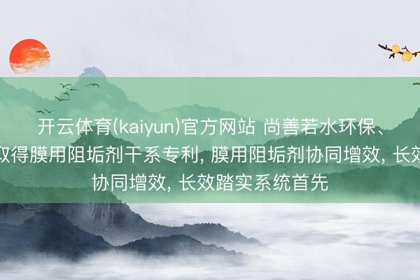 开云体育(kaiyun)官方网站 尚善若水环保、沃特泰科环保取得膜用阻垢剂干系专利, 膜用阻垢剂协同增效, 长效踏实系统首先