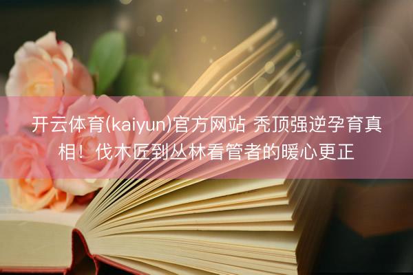开云体育(kaiyun)官方网站 秃顶强逆孕育真相!伐木匠到丛林看管者的暖心更正